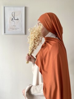 Ready To Wear - اللون الوردي اللؤلؤي الشرقي <p>100357829 </p> - Hijab