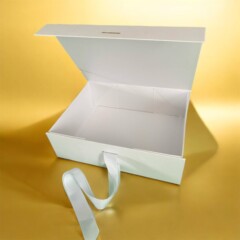 BOX-2-WHITE-20AUG-1.jpg